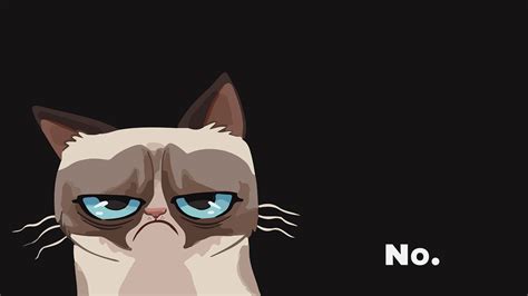 Wallpaper : illustration, cat, glasses, cartoon, Grumpy Cat, head ...