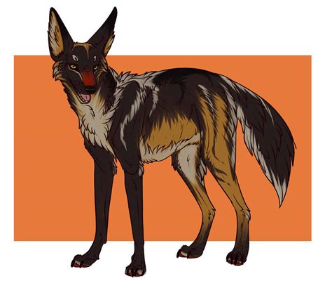 Jackal by B0RZOI on DeviantArt