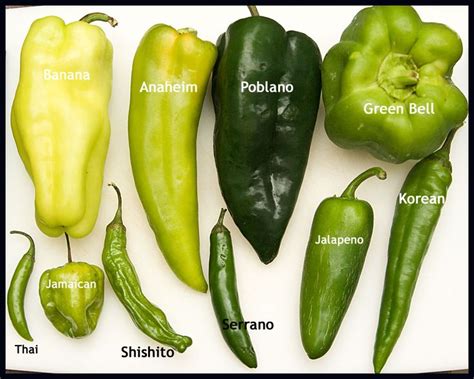 Beyond the Basics: Chile Peppers | Stuffed peppers, Types of peppers ...