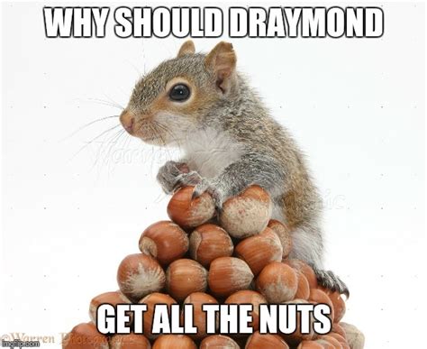 Gray Squirrel with pile of nuts - Imgflip