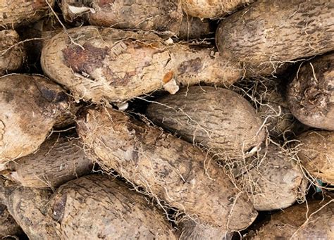 Yams vs. Sweet Potatoes: What's the Difference? – PureWow