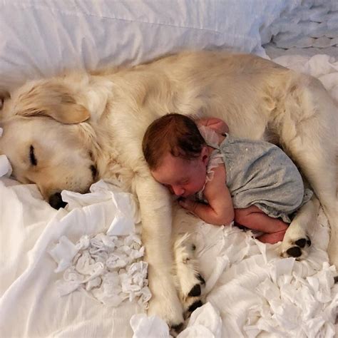 Cute Pictures of Dogs Napping With Kids and Babies | POPSUGAR Family