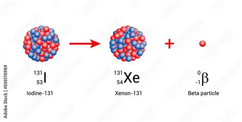 Iodine-131 nucleus undergoes beta decay to form xenon-131 Stock Vector ...