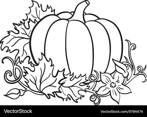 Pumpkin drawing isolated outline vegetable Vector Image