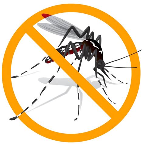 Gambar Kartun Nyamuk Aedes - IMAGESEE