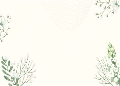 White Flowers Elegant Floral Background, Wallpaper, White, Flowers ...