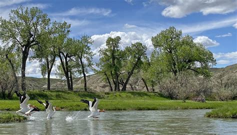 Marias River a paddler's hidden gem