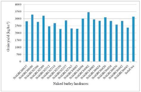 Combined grain yield of naked barley landraces over the years ...