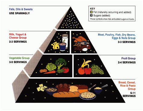 Motivation and emotion/Book/2015/Paleolithic healthy food lifestyle ...