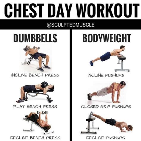 5 Day Best Chest Workout At Home With Dumbbells for Weight Loss ...