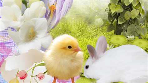 Bunny and Chick Easter Wallpaper - WallpaperSafari