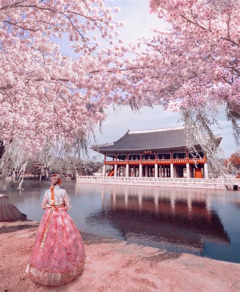 Cherry Blossom in Gyeongbokgung Palace – Seoul, South Korea - Dotz Soh