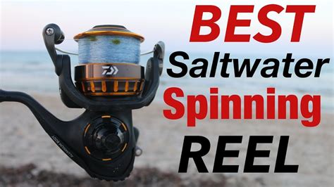 Best Saltwater Spinning Reels in 2024 - Top 7 Saltwater Spinning ...