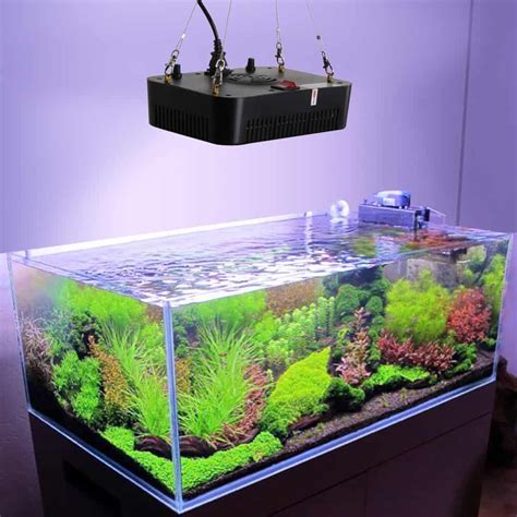 Top 3 LED Lights for Your Planted Aquarium And Guide | The Aquarium ...