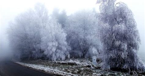 Freezing Fog & How It is Different From What Frozen Fog Is | WX Blog