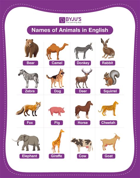 Air Animals With Names