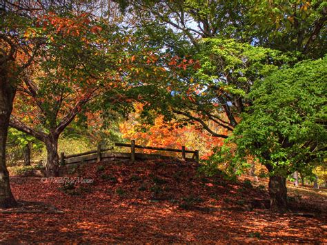 Mt Lofty Botanical Gardens - Adelaide