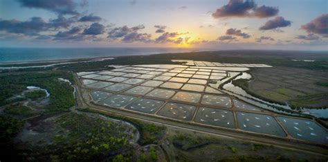 What Is the Environmental Impact of Aquaculture?