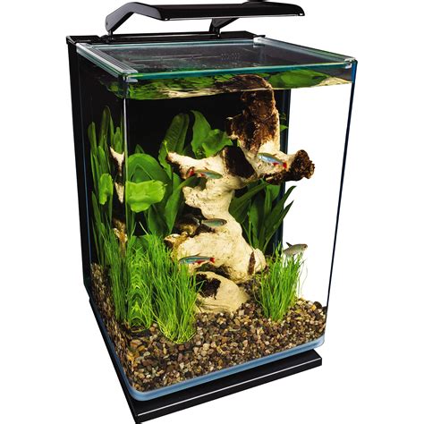 Buy Marineland Portrait Glass LED Aquarium Kit, 5 Gallons, Hidden ...