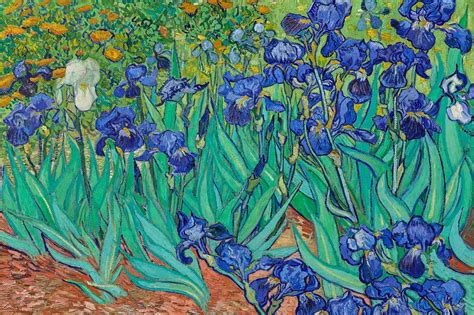 Irises Van Gogh Wallpaper