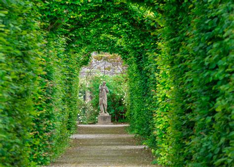 Birr Castle Gardens - Visit Offaly