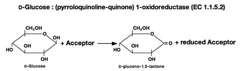 GLUCOSE DEHYDROGENASE (PQQ-dependent) from Microorganism - TOYOBO USA