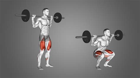 Barbell Squat: Benefits, Muscles Used, and More - Inspire US