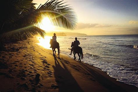 2023 Sunset Horseback Riding Tour from Punta Cana