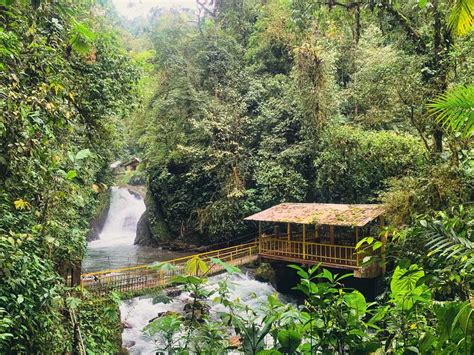 How To Visit The 7 Mindo Waterfalls In The Ecuador Cloud Forest ...