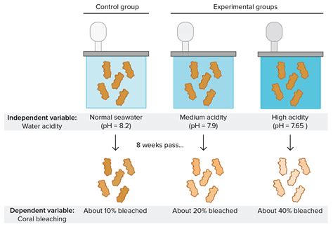 Experiment clipart dependent variable, Experiment dependent variable ...