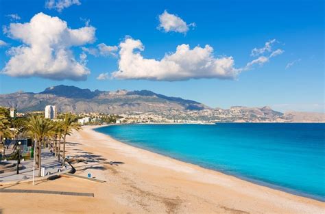 Playa para Perros en Altea - RedCanina.es