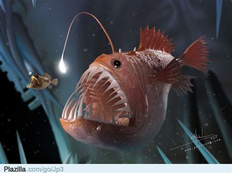 https://www.google.nl/blank.html | Deep sea creatures, Angler fish, Sea ...