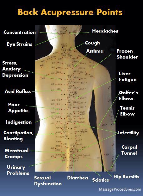 Back acupressure points | Acupressure treatment, Massage therapy ...