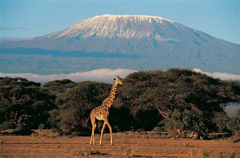 East African mountains | Climbing, Hiking & Wildlife | Britannica