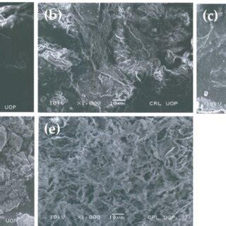 Probiotic potential of partially hydrolyzed guar gum (PHGG). | Download ...