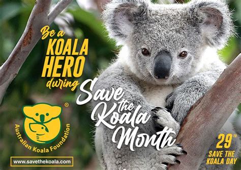 Save the Koala Day 2023 - AAEE - SA Chapter