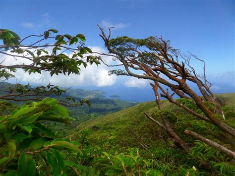 How to Hike La Soufrière Volcano in Saint Vincent