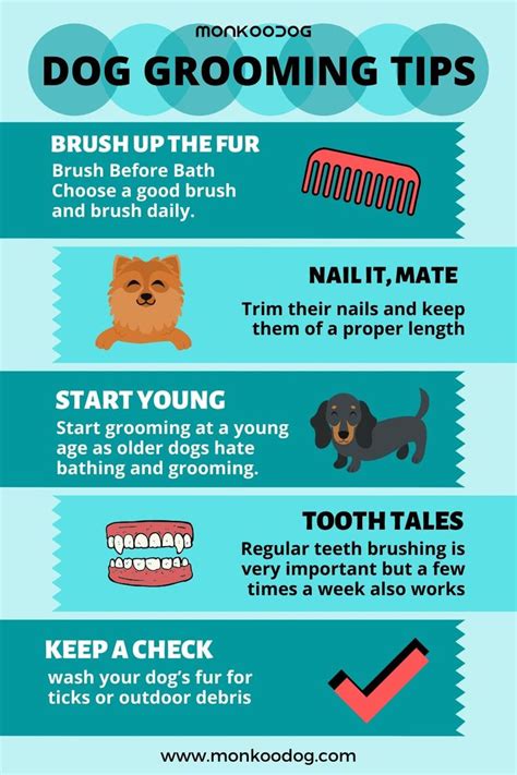 Dog Grooming Tips | Dog grooming tips, Dog grooming supplies, Dog grooming