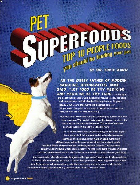 Top 10 people foods you should be feeding your pet. | Food animals ...