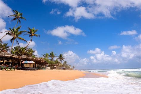 Discover 9 Best Beaches In Sri Lanka | Rough Guides