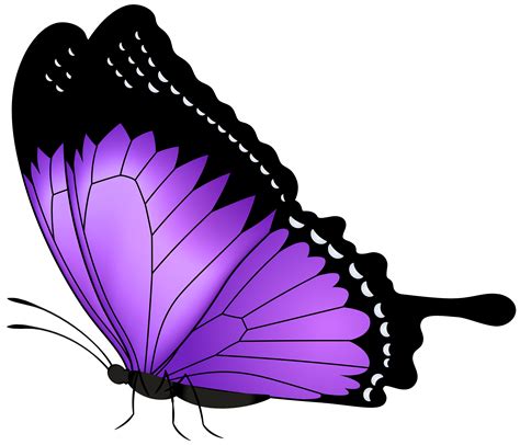 Purple Butterfly Transparent PNG Clip Art Image | Gallery Yopriceville ...