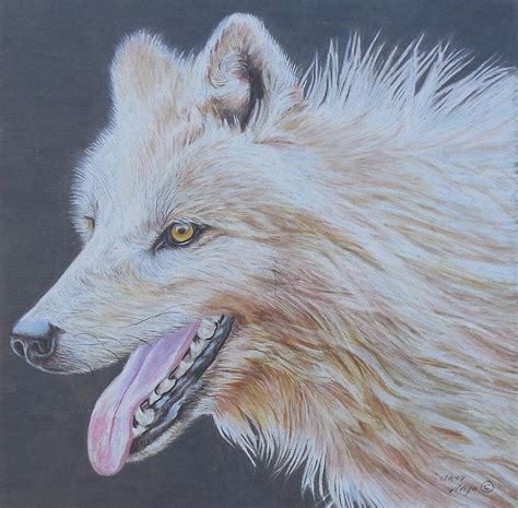 White Wolf Portrait Painting by Golanv Waya - Fine Art America