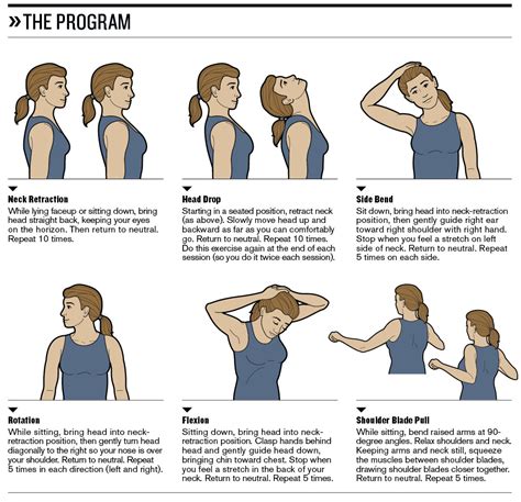 neck rehab exercises pdf - Have The Finest Web Log Miniaturas