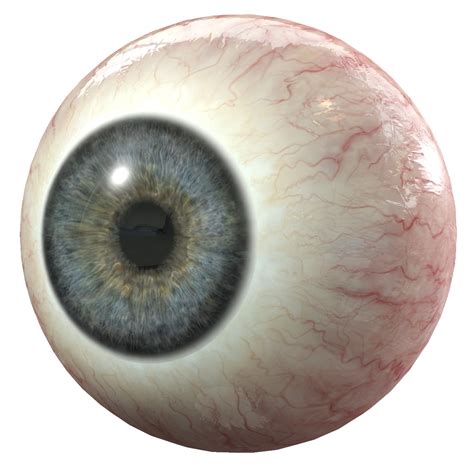 Scary Eye Png Transparent Creepy Eyeball Png Clipart Large Size Png ...