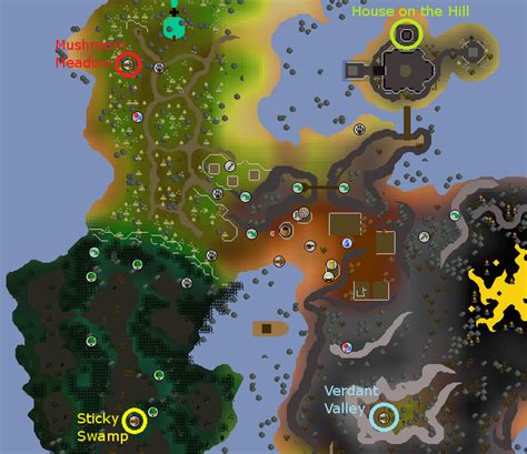 OSRS Fossil Island Guide - VirtGold