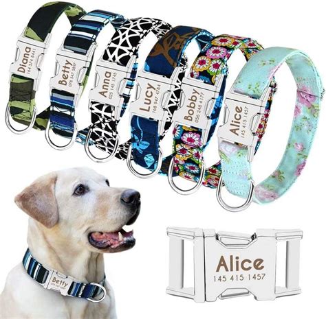 Best Personalized Dog Collars 2024 – For All Sized Dog – Pet Guide Reviews