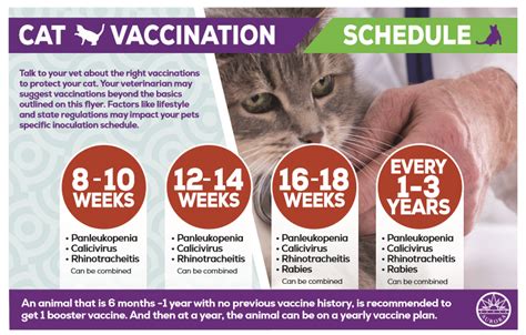 Printable Cat Vaccination Chart