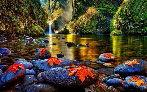 nature pictures - Search Yahoo Image Search Results | Beautiful photos ...