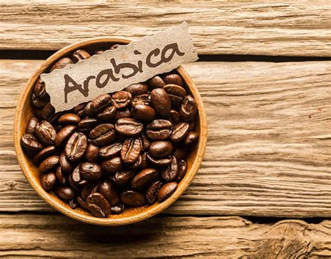 What Are The Best Costa Rica Coffee Tours? - Tico Travel