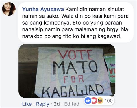 LOOK: Barangay poll bets inspire netizens with campaign posters made ...